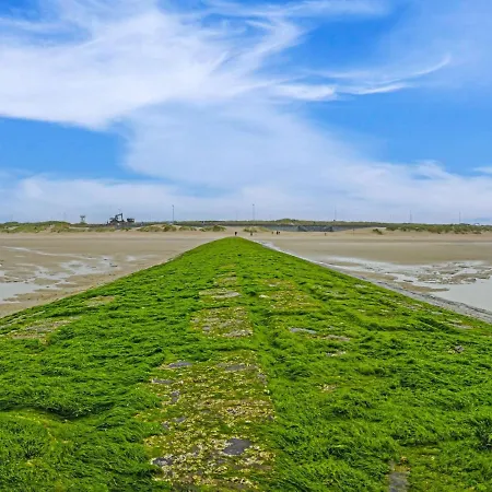 Penthouse On 10th Floor