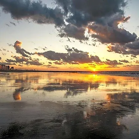 Penthouse On 10th Floor *